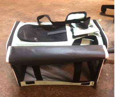 Collapsible Pet carrier