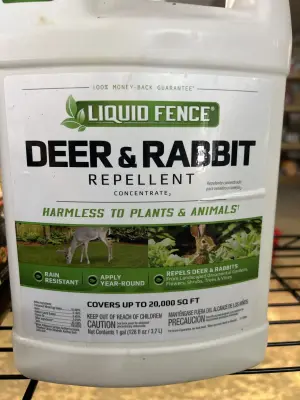 deer and rabbit repellent 1 gallon