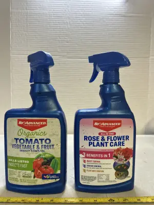 2 ct plant care