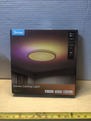 12” Govee ceiling light