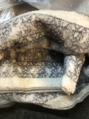 5x7 area rug needs cleaned