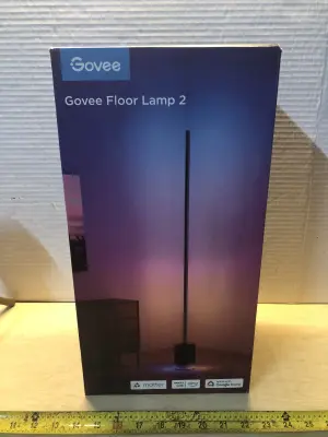Govee floor lamp 2