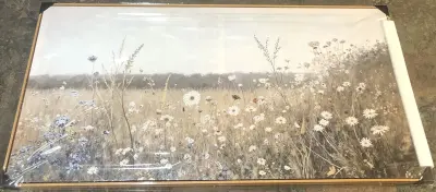 30”x60” framed wall art