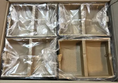 300pc jungle pick paper containers