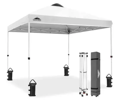 10’x10’ Eagle peak canopy similar to image