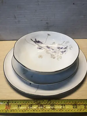 11pc  dish set