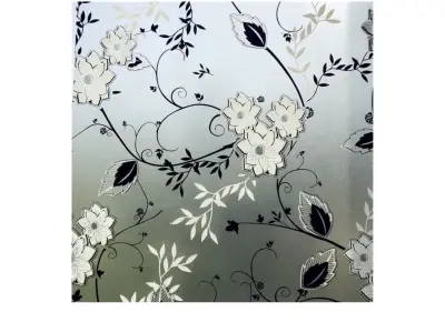 privacy window film