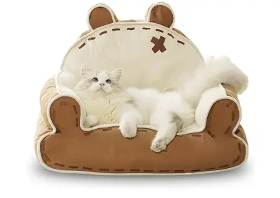 cat couch