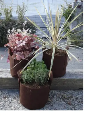 10 pack best root pouch 3 gallon similar to image