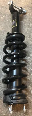 TRQ shock and spring assembly