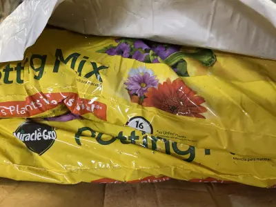2 large potting mix