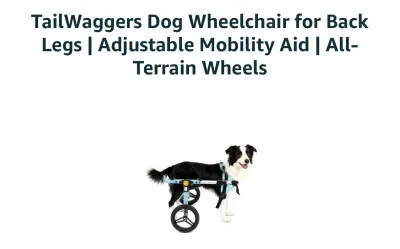 Tailwaggers Dog wheelchair used as is similar to image