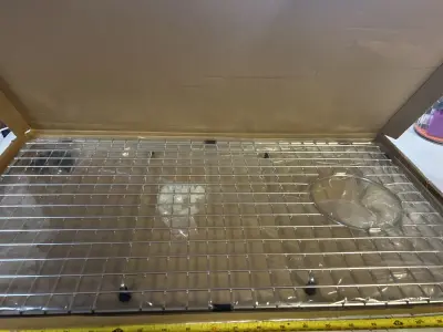 dish drainer rack