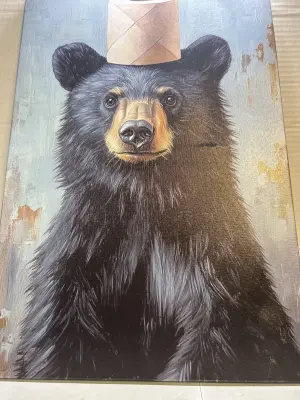 canvas