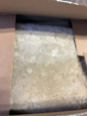 rug
