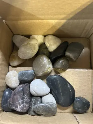 rocks