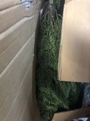 6ft artificial tree
