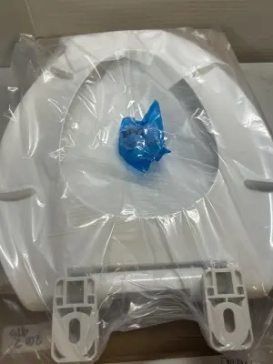toilet seat