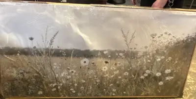 XL cancas frame broken