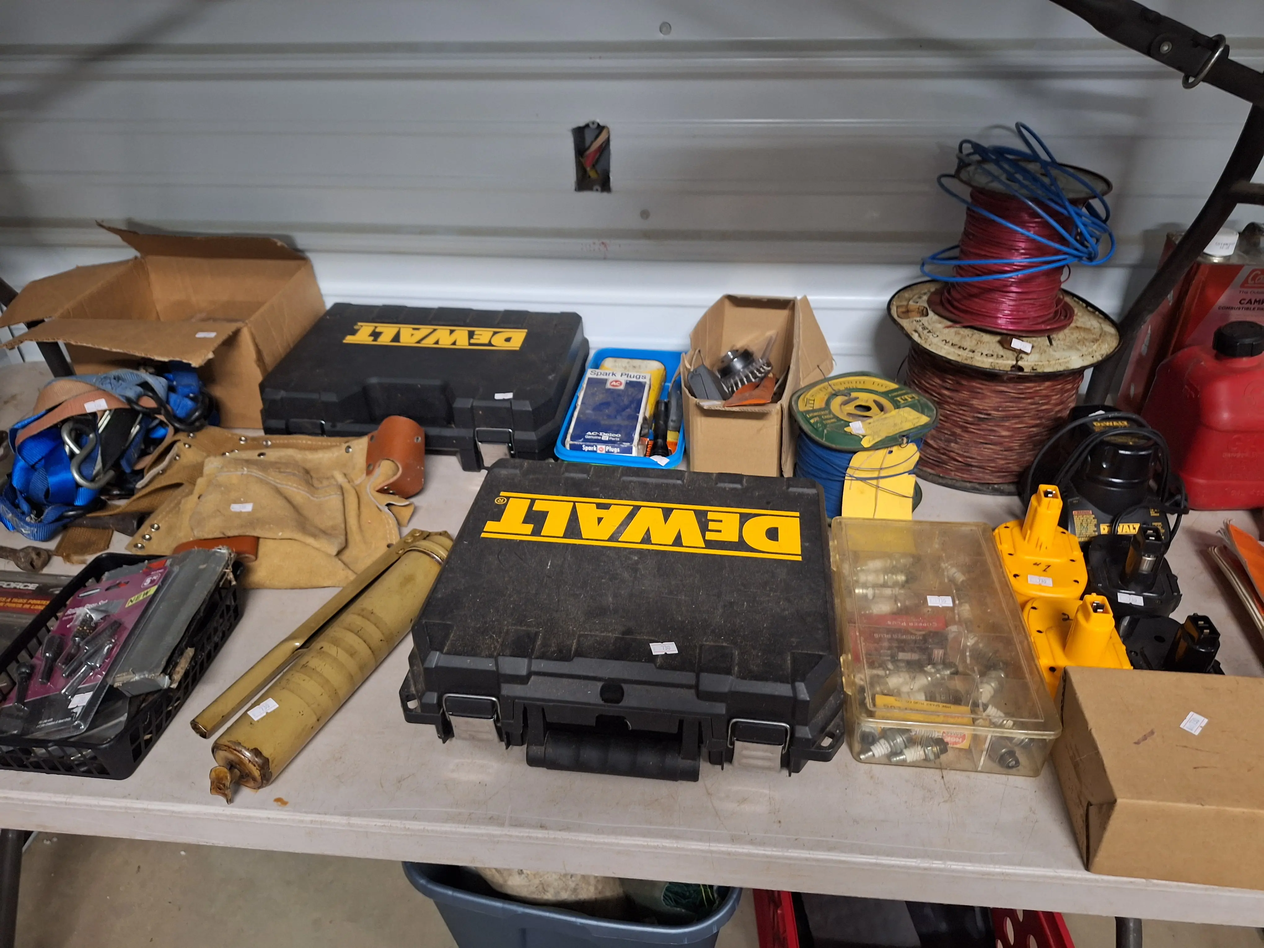 Live auction photo