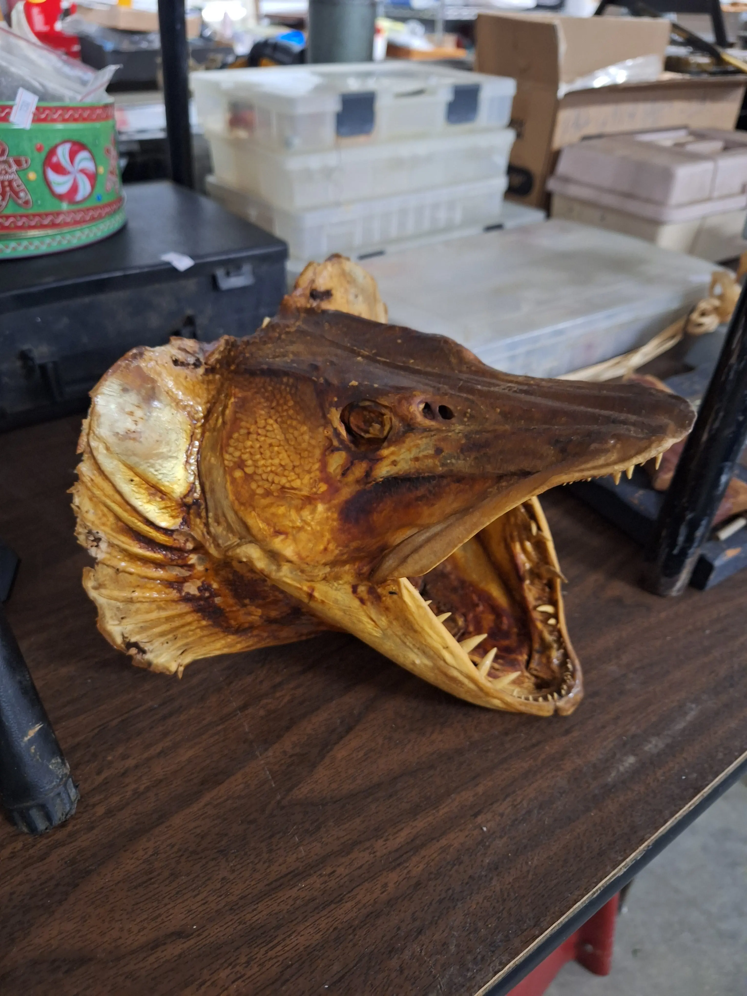 Live auction photo