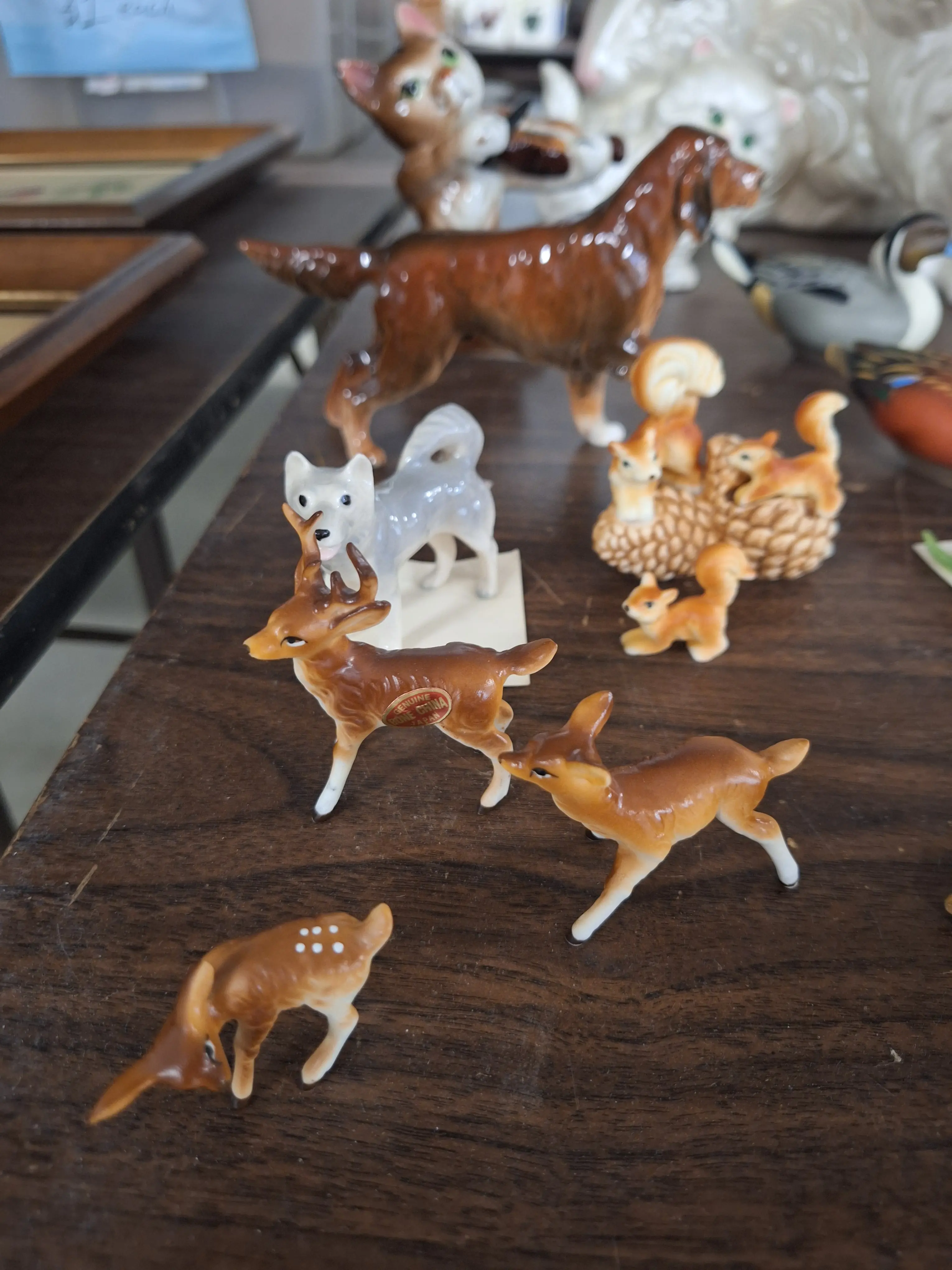 Live auction photo